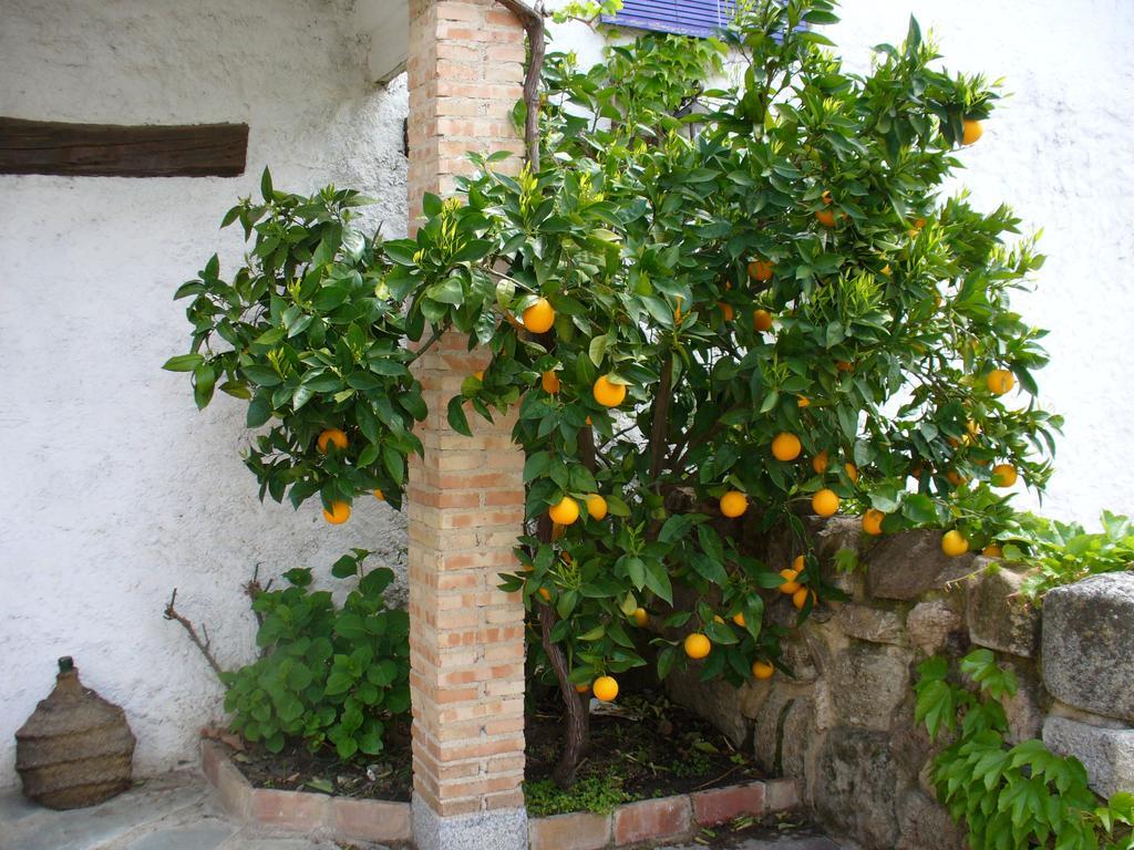 Hotel Labranza San Martin de Valdeiglesias Exterior photo